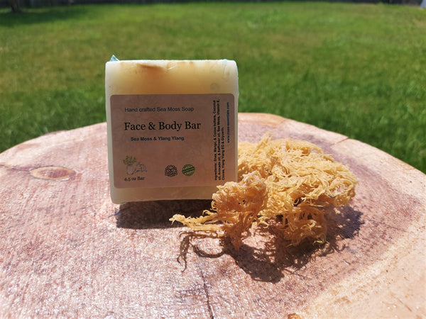 Sea Moss face and body bars